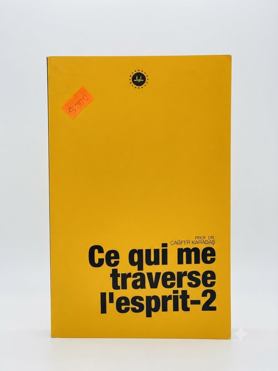 Ce qui me traverse l’esprit 